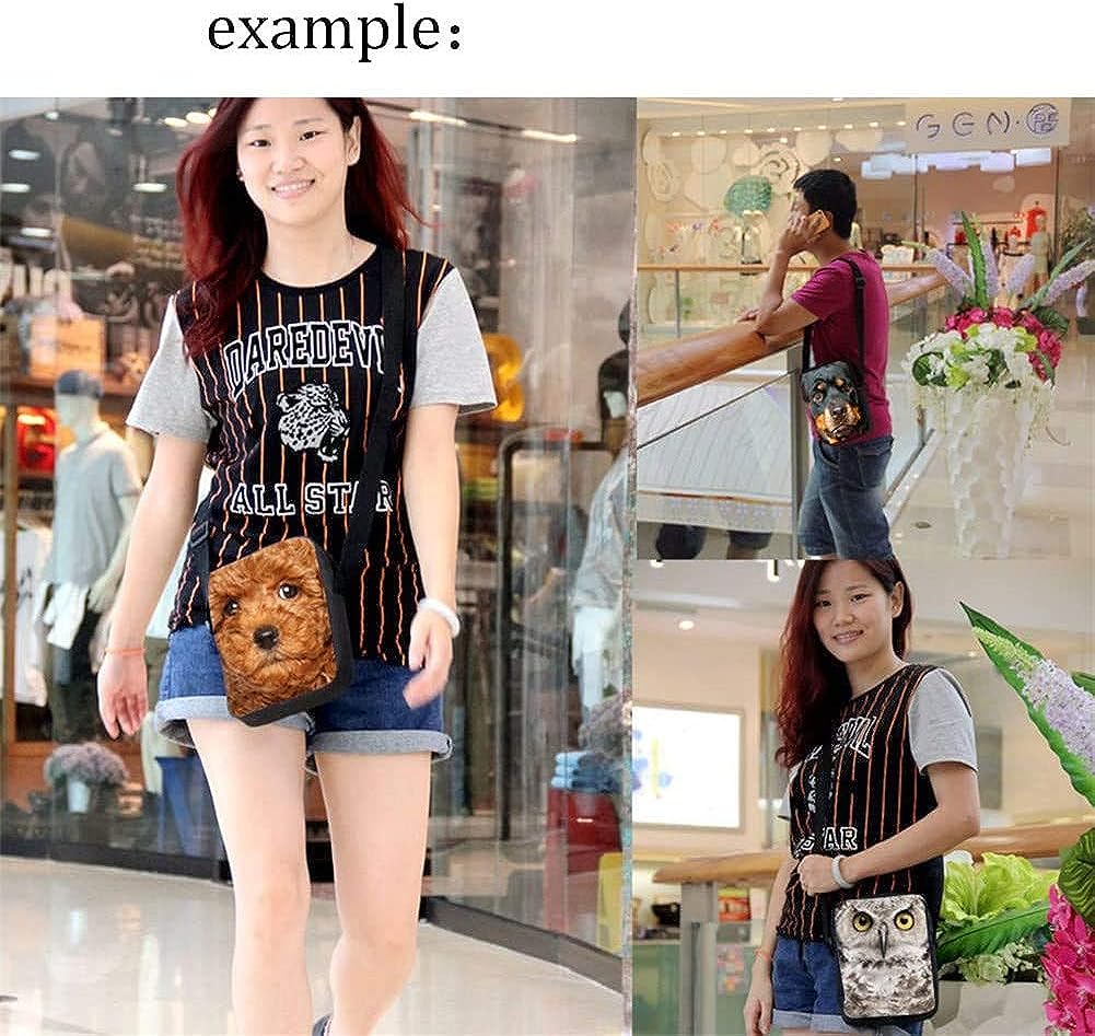 61gEJr1E01L._AC_UL1001_.jpg
